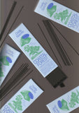 Low Smoke Incense, Made in Japan, Natural | Coastal Forest
