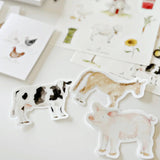 Cow sticker