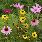 Garden Sprinkles | Butterfly | Best Seller Spring & Easter