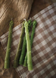 Asparagus Beeswax Taper Candle