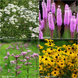 Garden Sprinkles | Monarch Milkweed | Spring Butterfly Gift