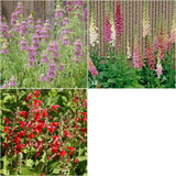 Garden Sprinkles Hummingbird | Best Seller | Spring Garden