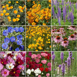 Garden Sprinkles | Butterfly | Best Seller Spring & Easter