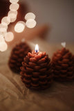 Pinecone Beeswax Candle