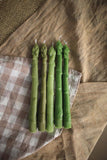 Asparagus Beeswax Taper Candle