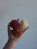 Pinecone Beeswax Candle
