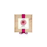 NEW Flower Cutting Garden Box | Mixed Zinnia . Mother's Day