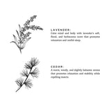 Lavender + Cedar - Signature 3-Wick Non-Toxic Candle