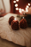 Pinecone Beeswax Candle