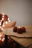 Pinecone Beeswax Candle