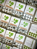 Garden Maker Culinary Herbs | Best Seller | Spring Kitchen
