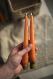 Carrot Beeswax Taper Candle