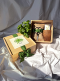 NEW Flower Cutting Garden Box | Mixed Zinnia . Mother's Day