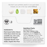 Sugar Free Spearmint Gum - Natural + Plastic-Free | 12 Pack