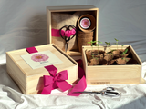 NEW Culinary Herb Garden Box | Valentine . Mother's Day