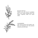 Eucalyptus + Lavender - 3-Wick Non-Toxic Candle