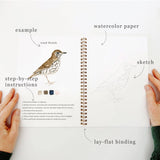 Birds watercolor workbook