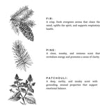 Forest Bathing - 3-Wick Non-Toxic Soy Candle