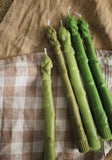 Asparagus Beeswax Taper Candle