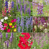 Garden Sprinkles Hummingbird | Best Seller | Spring Garden