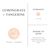 Lemongrass + Tangerine Frosted Candle