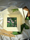 NEW Culinary Herb Garden Box | Valentine . Mother's Day