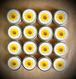 Garden Sprinkles | Grow Love Sunflower | Valentine's Day