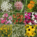Garden Sprinkles | Butterfly | Best Seller Spring & Easter