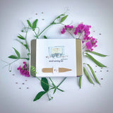 Garden Maker Culinary Herbs | Best Seller | Spring Kitchen