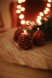 Pinecone Beeswax Candle