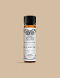 EUCALYPTUS Essential Oil | Organic