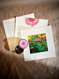 NEW Flower Cutting Garden Box | Mixed Zinnia . Mother's Day
