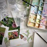 Garden Sprinkles | Monarch Milkweed | Spring Butterfly Gift