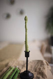 Asparagus Beeswax Taper Candle