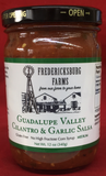 Guadalupe Valley Cilantro & Garlic Salsa ~ Medium